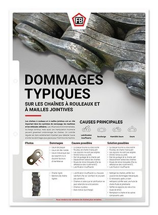 Dommages typiques chaines a rouleaux